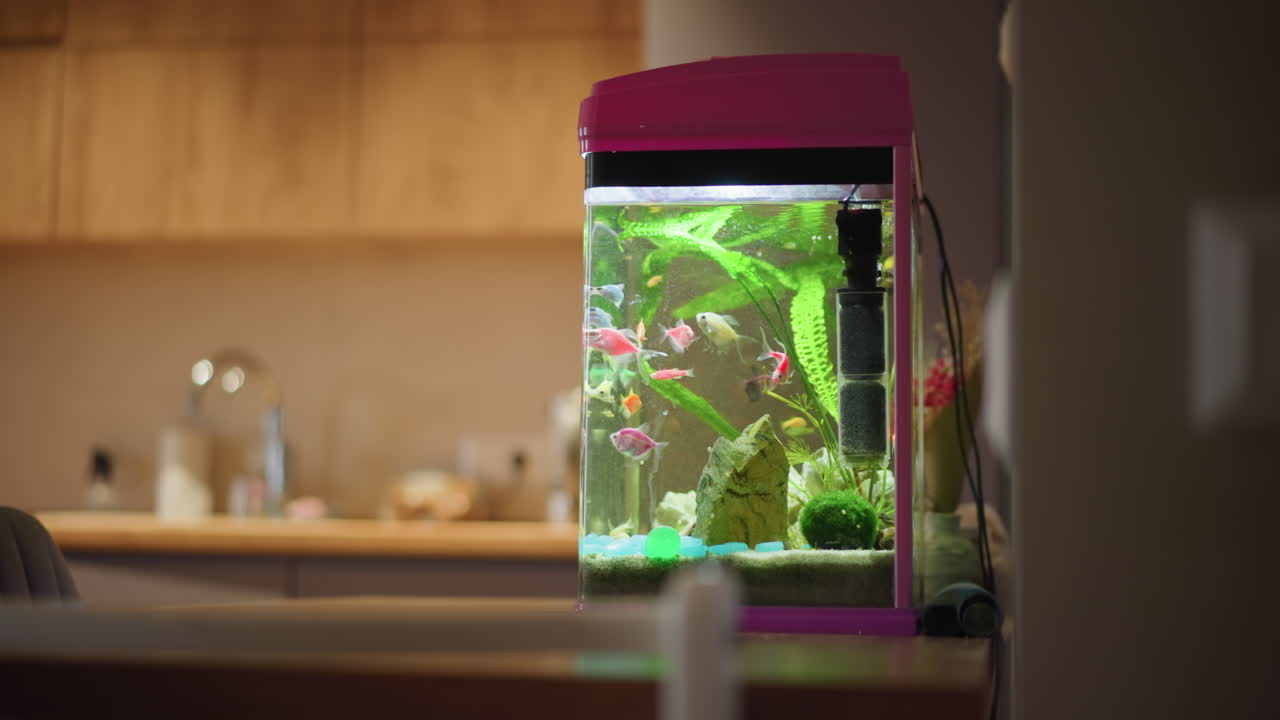 Kleurrijke vissen die zwemmen in een verlicht aquarium met groene planten, stenen en decoraties, geplaatst in een modern keukeninterieur dat gedeeltelijk zichtbaar is door een vage deuropening, waardoor een vredige waterrijke sfeer ontstaat