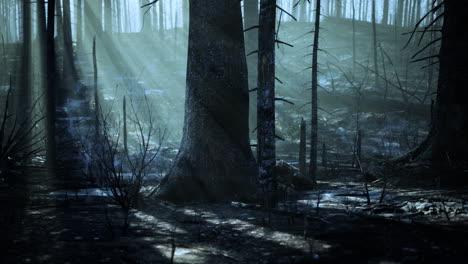 forest fire and fallen tree is burned to the ground with a lot of smoke