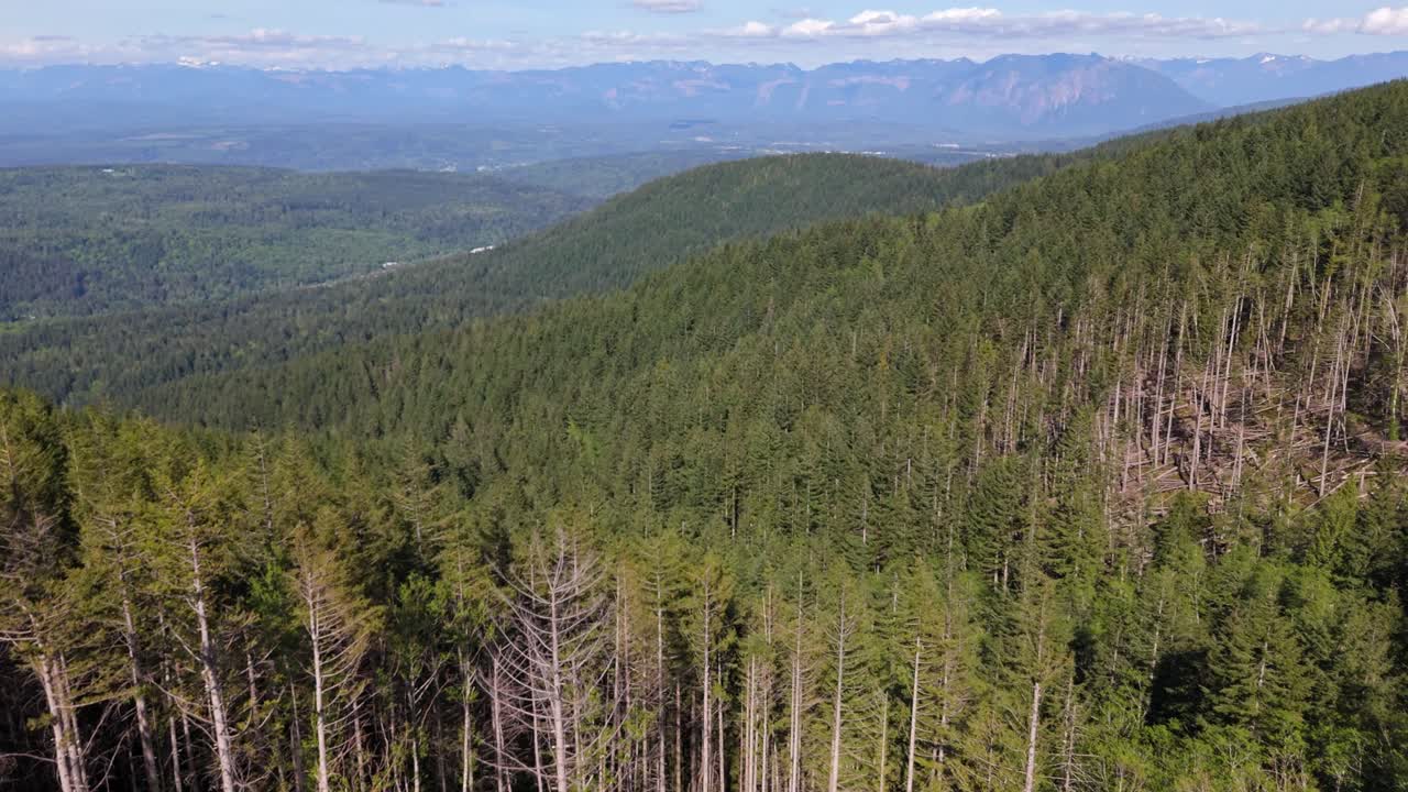 Scenic Aerial view flying over forest in Issaquah Alps in Washington State