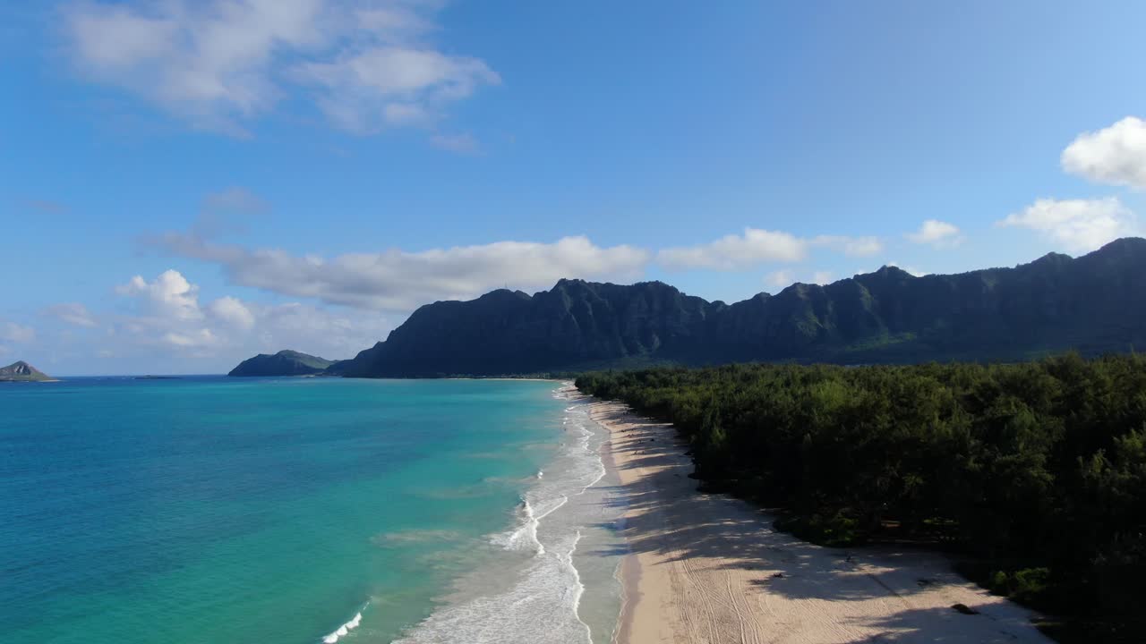 volando lentamente sopra la spiaggia tropicale hawaiana lungo la foresta della giungla