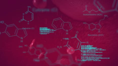 Animation-of-chemical-formulas-and-data-processing-over-floating-blood-cells