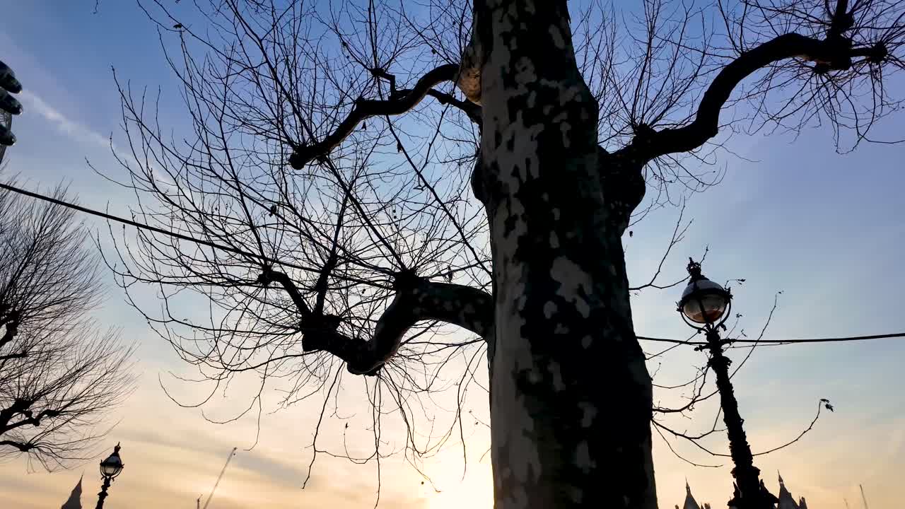 Tracking shot along the River Thames waterfront, capturing the area's natural elements and iconic landmarks during golden hour at sunset in London, United Kingdom