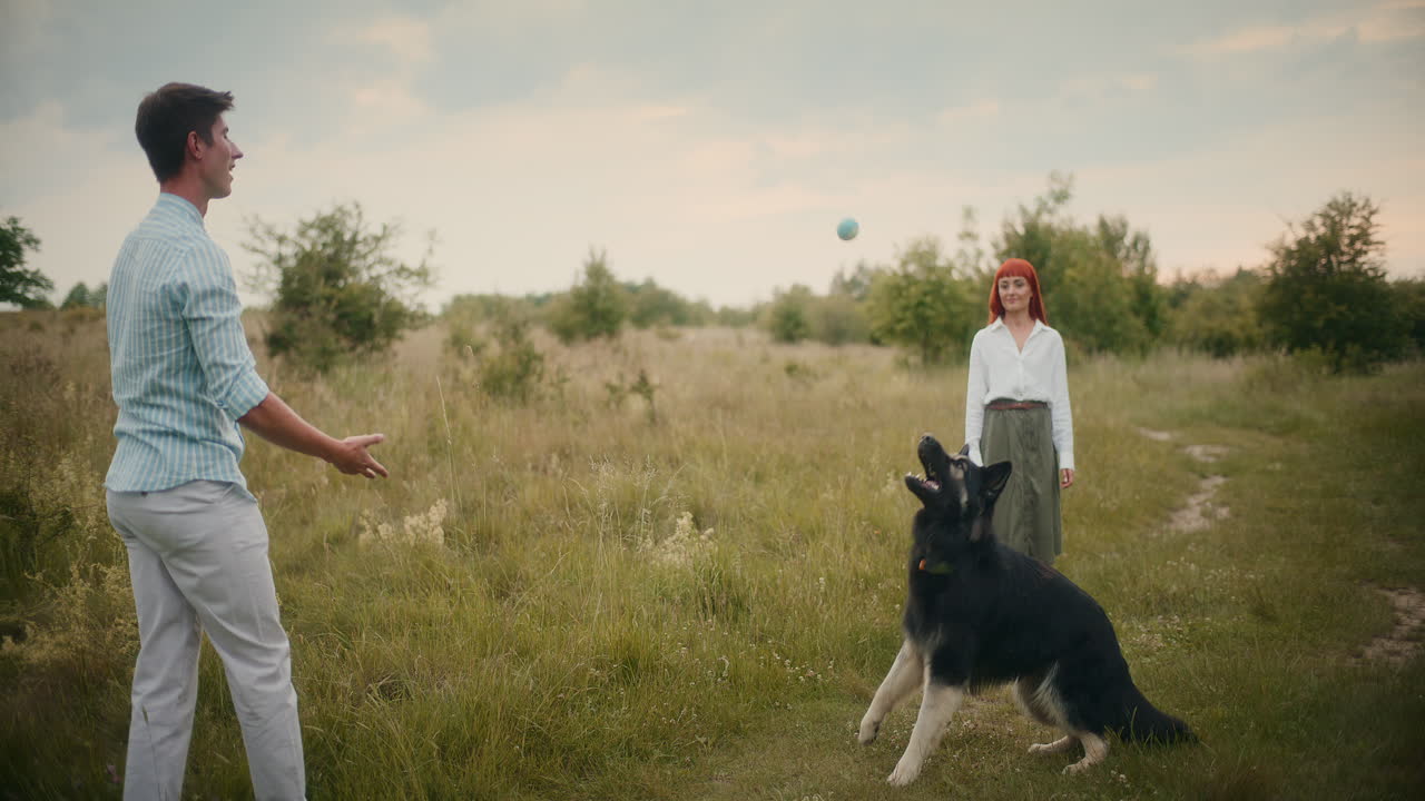 People Playing with a Dog in a Field