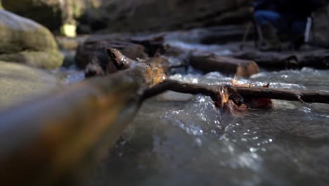 fallen tree branch in mountain river cascading down, shallow depth of field