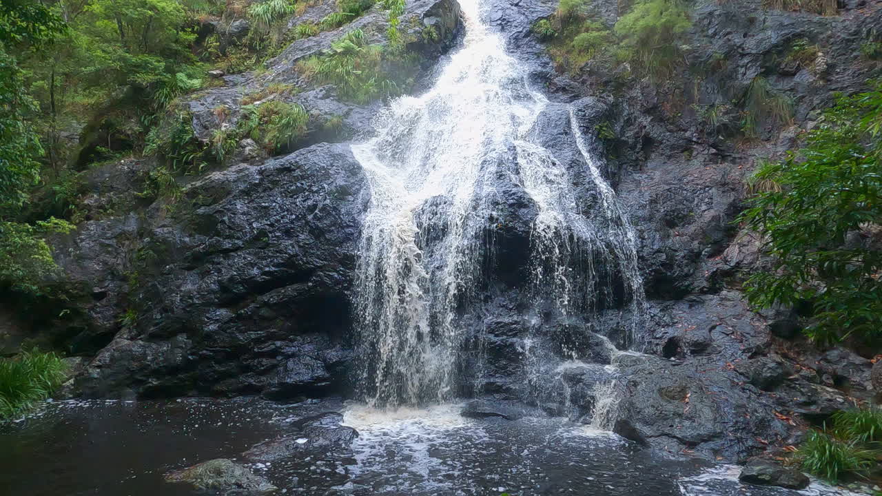 hermosa cascada - árboles de arroyos naturales - arroyo de agua dulce - el arroyo fluye sobre rocas hacia el pozo de agua - fondo de bucle de 4k - cataratas gheerulla qld