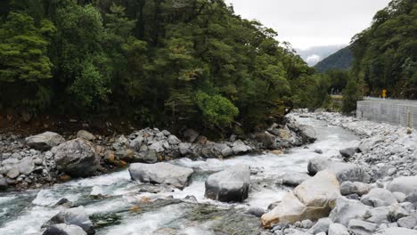 tranquilo río que fluye entre rocas y cantos rodados rodeado de una densa selva tropical - falls creek, nueva zelanda