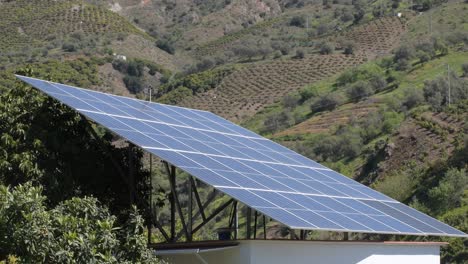 solar panel in a agricultural plantation