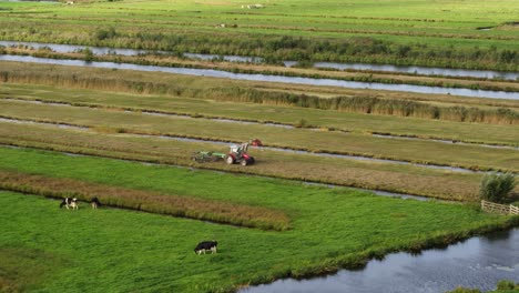 Pequeño-Tractor-Agrícola-Que-Trabaja-En-Campos-Verdes-Rodeados-De-Canales-De-Agua,-Vista-Aérea