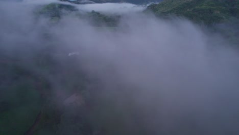 the mist in sunset over the rural area