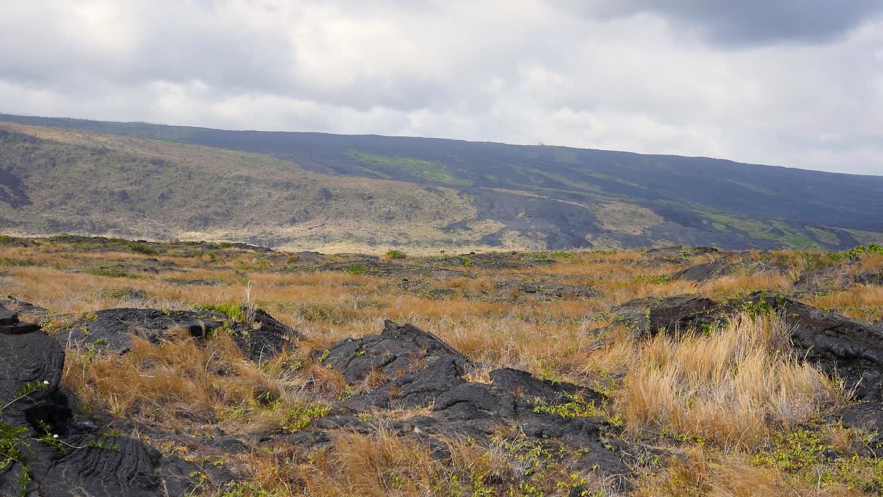 희박한 툰드라 초목과 흐린 하늘이 있는 하와이 섬의 화산 중 하나의 슬로프를 슬로우 모션으로 볼 수 있습니다.