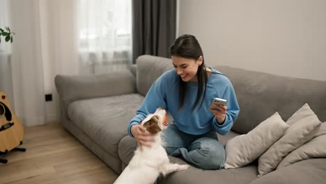 Portrait-of-a-girl-sitting-on-sofa-with-smartphone-while-her-pet-wants-to-play-ball-with-her