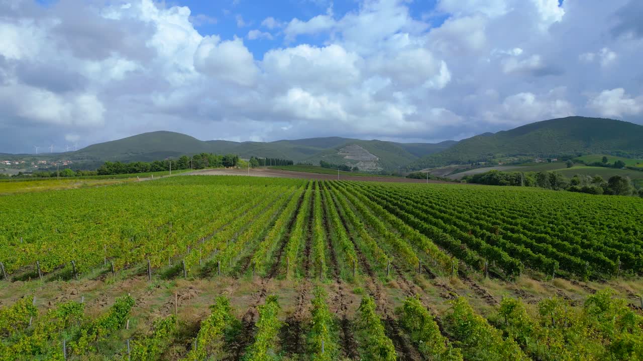 hermosa vista aérea de arriba vuelo paisaje meditativo valle del campo de vino de la toscana italia otoño
