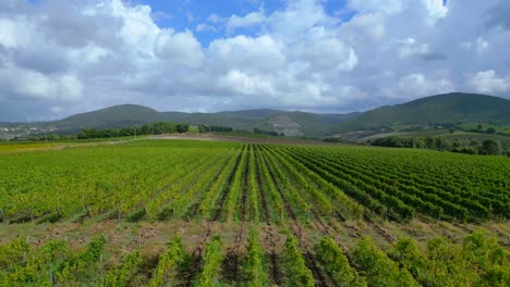 hermosa vista aérea de arriba vuelo paisaje meditativo valle del campo de vino de la toscana italia otoño