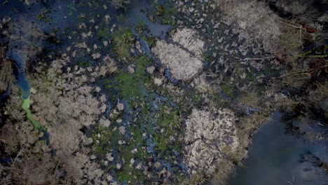 Imágenes-Aéreas-De-Drones-De-Pequeñas-Marismas-En-El-Soleado-Día-De-La-Tarde-De-Primavera