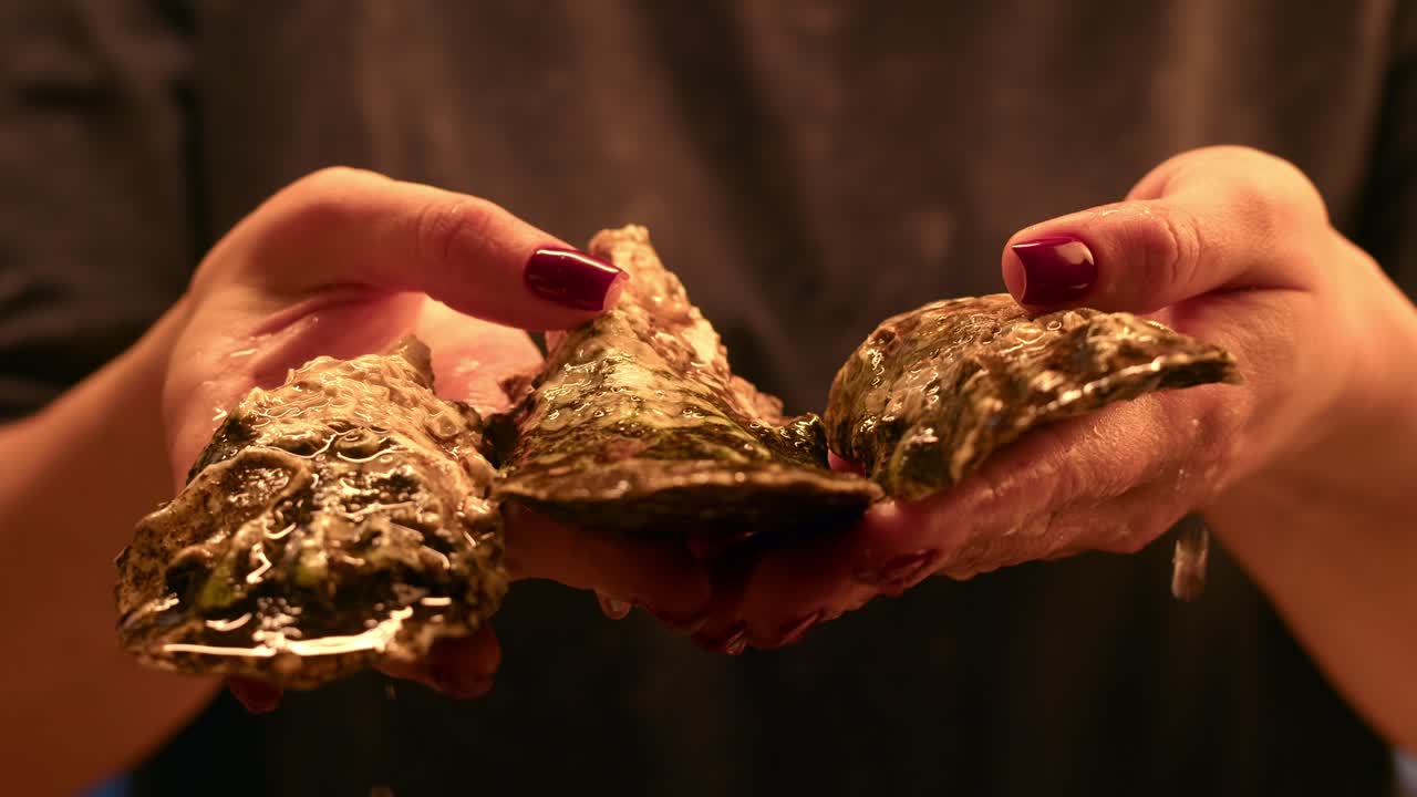 Hands holding fresh oysters