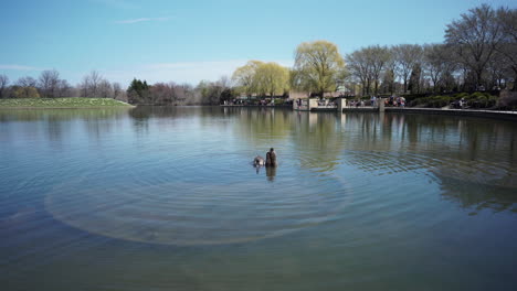 A-funny-clip-of-a-stunning-Canada-Goose-preening,-bathing-splashing-and-turning-upside-down-in-the-lake-washing