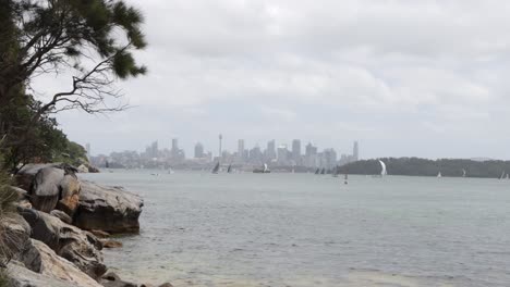 Barcos-De-Vela-En-Frente-Del-Distrito-Central-De-Negocios-De-Sydney,-Australia