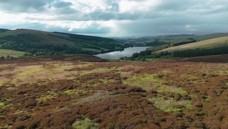 Forward-drone-shot-of-Errwood-reservoir-on-a-cloudy-day-in-Derbyshire,-England