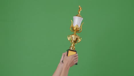 hands holding a gold trophy