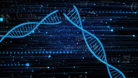 animation of dna strands and data processing over black background