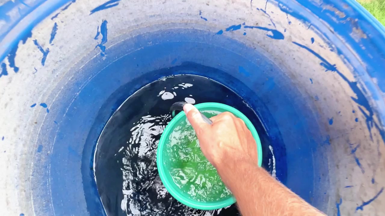 Una persona riempie un secchio verde d'acqua con un tubo all'interno di un grande barile di plastica blu all'esterno. Ideale per giardinaggio, raccolta dell'acqua piovana e contenuti sulla manutenzione domestica