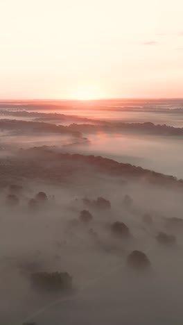 misty sunrise over countryside