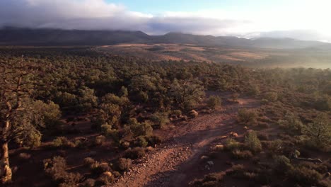 Belleza-De-La-Madre-Tierra-Lovell-Canyon-Formación-De-Roca-Roja-California-Estados-Unidos-Escénico-Paisaje-Aéreo