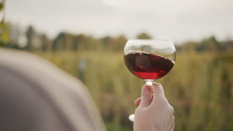 un hombre sostiene un vaso de vino tinto para degustar, se para cerca de la viña antes del atardecer