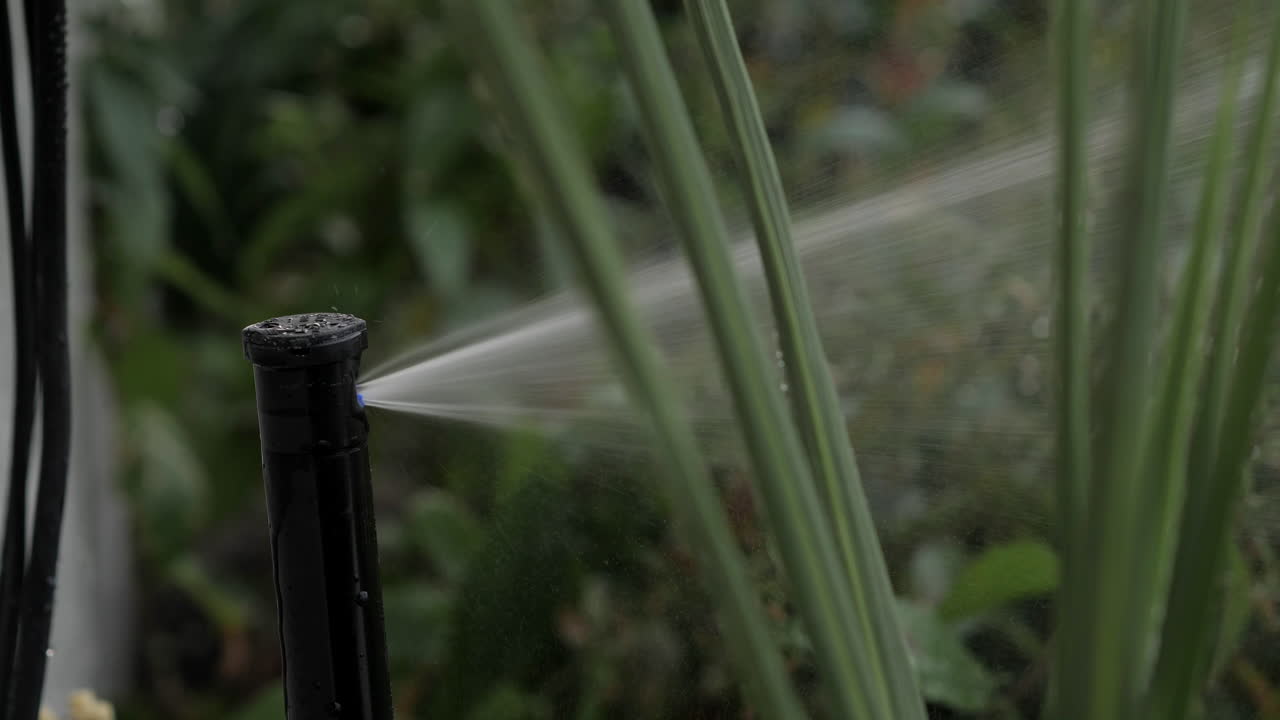 Primo piano di un rotore Rainbird 3500 che irriga in un'aiuola