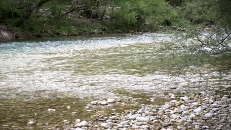 sava bohinjska or river bohinj in slovenia running from lake bohinj to lake bled area