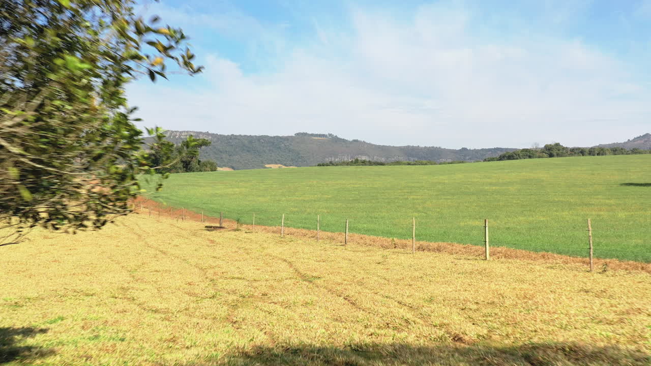 숲 시골 농장 필드를 통해 역동적인 드론 샷