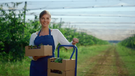 mujer joven con caja en la agricultura, invernadero moderno, concepto de granja de verano.