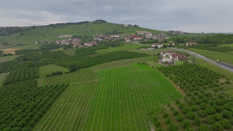 Flug-über-Weinberge-Bei-Sonnenuntergang-In-Italien