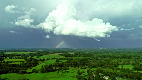 verdant landscape and dense thicket against scenic sky with colorful rainbow