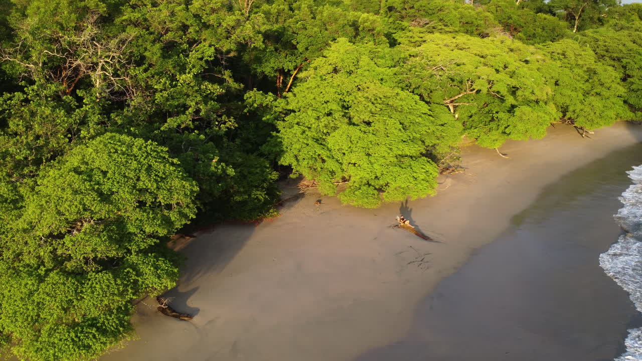 playa tropical en el parque nacional de marino ballena durante la puesta de sol, costa rica
