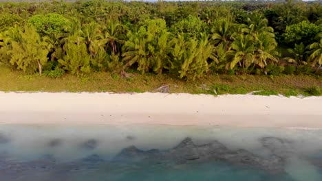 exótica playa de arena blanca bordeada de palmeras