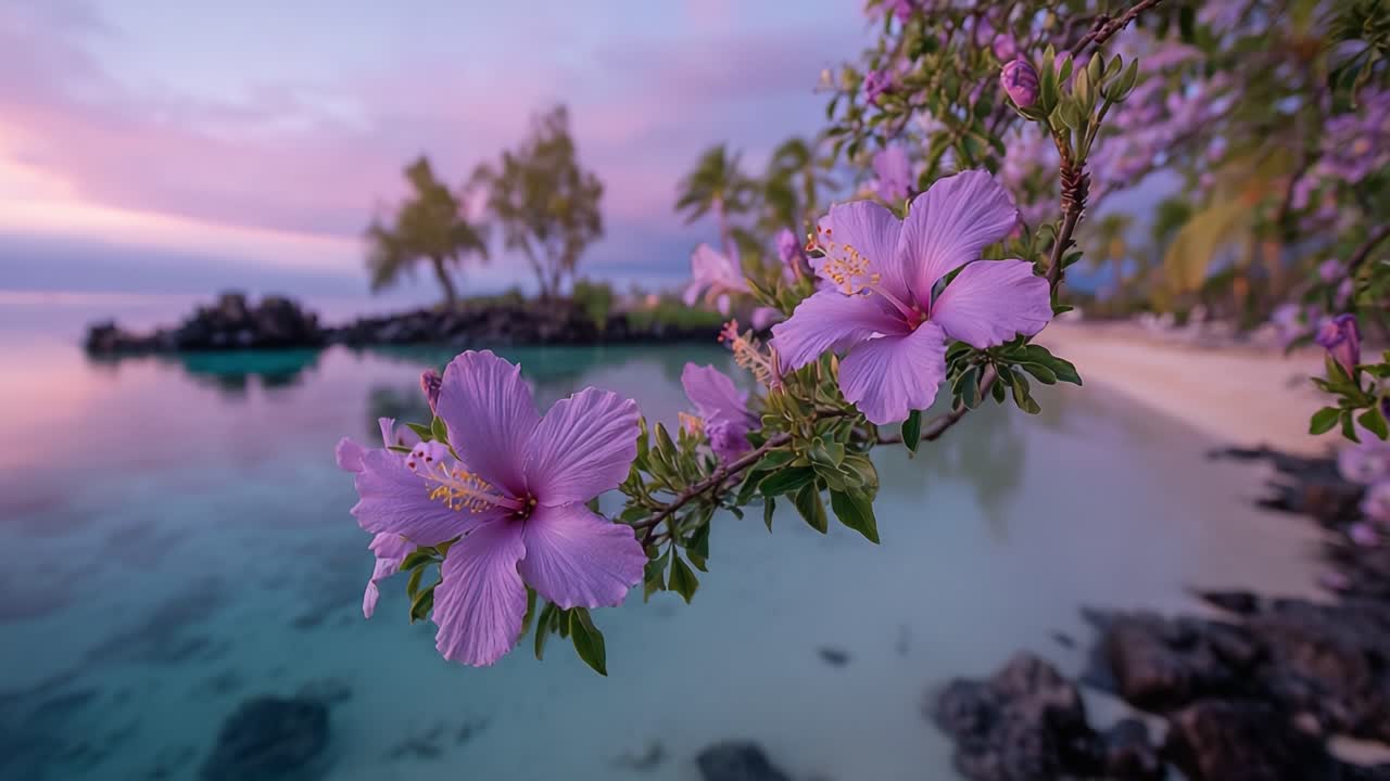 A Serene Hibiscus Bloom Overlooking Tranquil Waters at Dusk: Nature's Vibrant Colors and Relaxing Atmosphere Shine Bright in this Captivating Coastal Scene