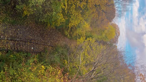 railroad tracks curving through colorful autumn trees, stockholm, sweden, vertical shot