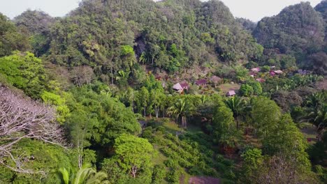 Aerial-of-the-limestone-hills-near-Candeleria-Guatemala-3