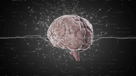 animación del procesamiento de datos y senderos de luz sobre el cerebro