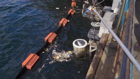 Recogiendo-Basura-Del-Mar.