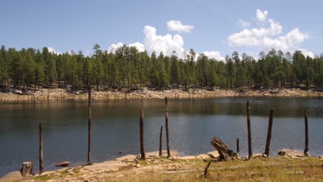 woden poles stick out of the river bank in willow spring