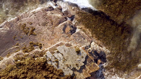 Weiße-Gesäumte-Wellen-Rollen-Auf-Horizontal-Gebettete-Sedimentgesteinsfelsen-Des-Permischen-Ozeans-Und-Braune-Algen-pov-drohne,-Die-Wegziehender-Turimetta-strand-Sydney-Australien