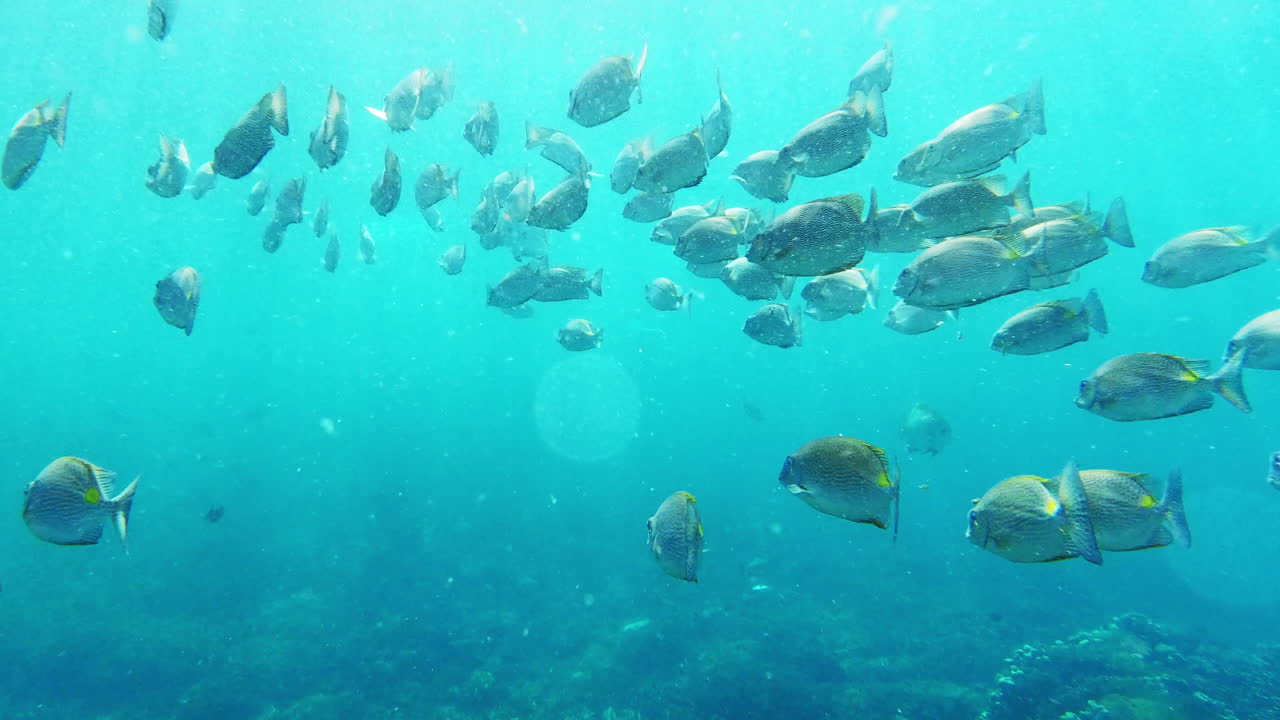 인생은 항상 끊임없는 움직임입니다.