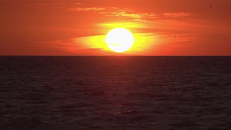 Toma-En-Cámara-Lenta-De-La-Puesta-De-Sol-De-Florida-Naranja-Sobre-El-Golfo-De-México-Con-Aves-Marinas-Volando-En-La-Distancia