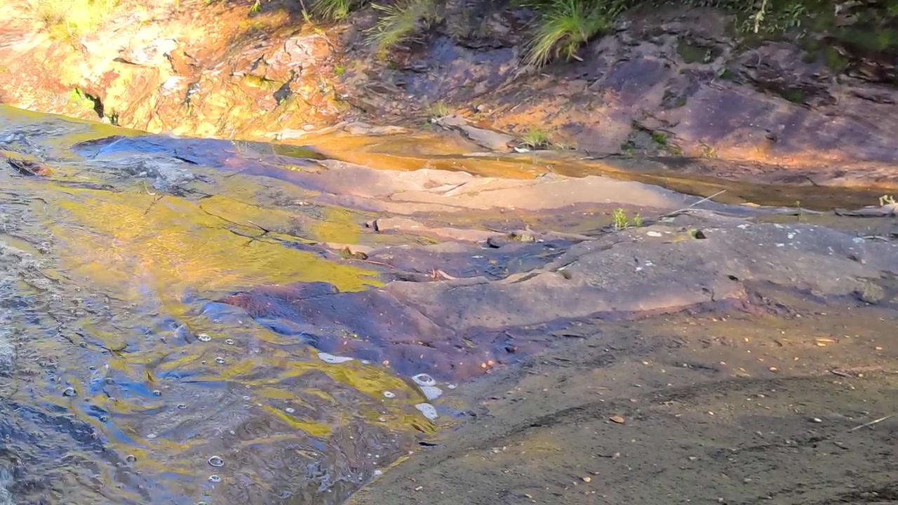 Water Flowing Over Smooth Rocks in a Forest Stream