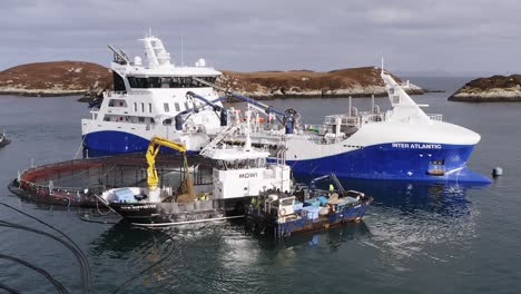 static drone shot of a well-boat and trawlers placing fish in a fish pen