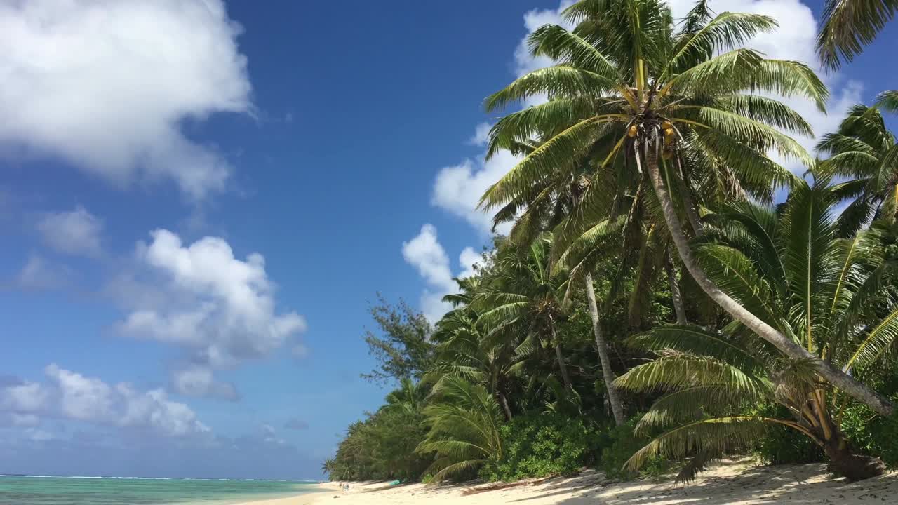 muri lagoon, rarotonga,  섬의 풍경