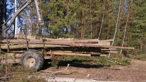 static rearview of timber claw arranging cut trees into trailer for transport