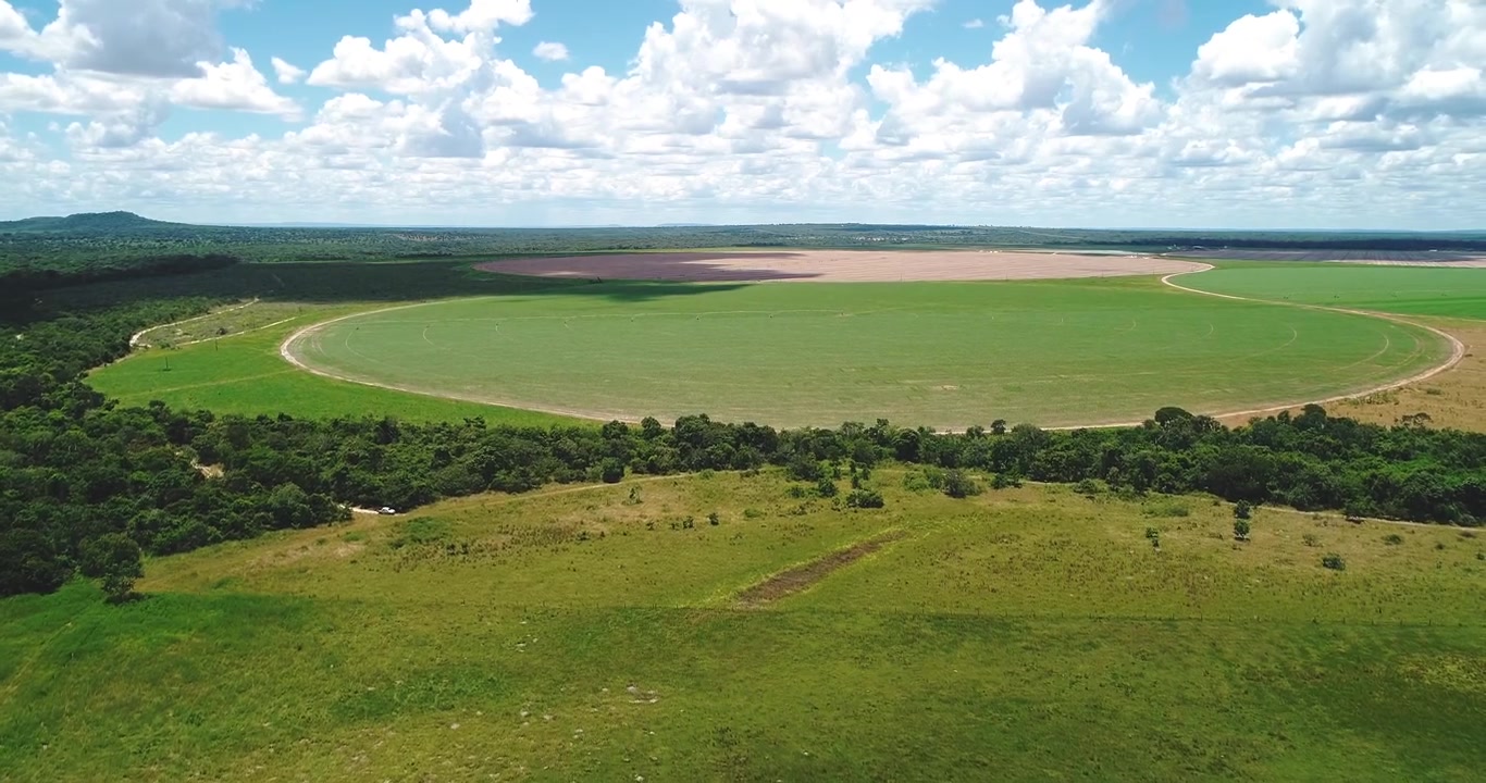 Stort cirkulært landbrugsfelt afgrænset af cerrado-vegetation og kvæggræsning nær Arinos, Minas Gerais, Brasilien, inden for Urucuia-plateauets landbrugsregion. Drone fremadgående opstigning med parallax